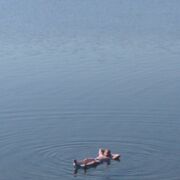 ���������� ���������� �����, ���� ������� ����������, 38 ���, ������������ ��� ������, ����� � ���������, c�������� ���������