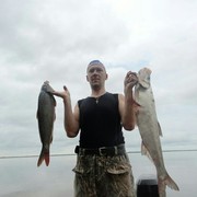 ���������� ���������, ���� ������� ���������, 49 ���, ������������ ��� ������, ����� � ���������, c�������� ���������