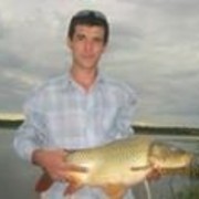 ���������� ���������, ���� ������� ������, 46 ���, ������������ 