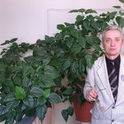  ,   , 61 ,   ,   , c 