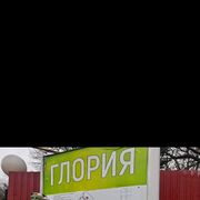 ���������� ������, ���� ������� �������, 41 ���, ������������ ��� ���������