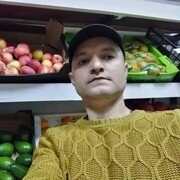  ,  , 48