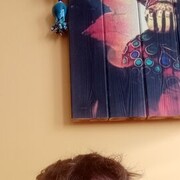  ,   , 37 ,   ,   