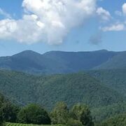 ���������� ����, ���� ������� �����, 41 ���, ������������ ��� ������, ����� � ���������