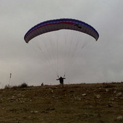 ���������� ������, ���� ������� �������, 49 ���, ������������ ��� ������, ����� � ���������, c�������� ���������