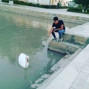 ���������� �������, ������ Shaxa, 24