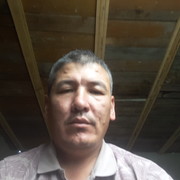  ,   Zakir, 44 ,   ,   , c 