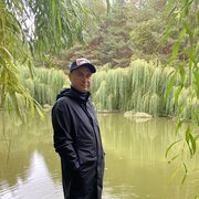 ����� ������ ���������� �����