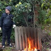 ���������� ����������, ���� ������� ���������, 45 ���, ������������ ��� c�������� ���������