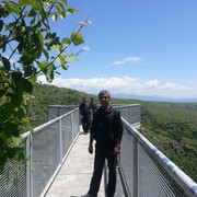  ,   Sargis, 51 ,   ,   , c , 
