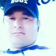  ,   TEMUR TEMU, 36 ,   ,   