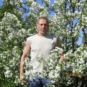  ,   , 55 ,   ,   