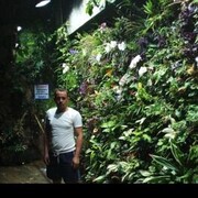 ���������� ���������, ���� ������� ������, 37 ���, ������������ ��� ������, ����� � ���������, c�������� ���������, ���������