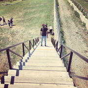 ���������� ������, ���� ������� Artur, 29 ���, ������������ ��� ������, ����� � ���������