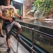  ,   , 42 ,   ,   