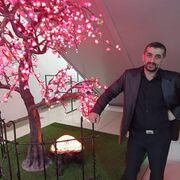 ���������� ������, ���� ������� �����, 43 ����, ������������ ��� ����� � ���������, c�������� ���������