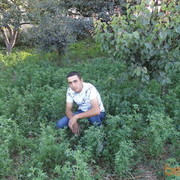  ,  ARAM, 34