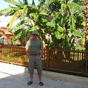 ���������� �����-���������, ���� ������� ���������, 62 ����, ������������ ��� ����� � ���������, c�������� ���������