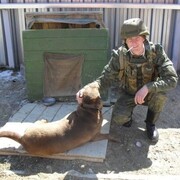 ���������� �����, ���� ������� �����, 37 ���, ������������ ��� ������, ����� � ���������, c�������� ���������