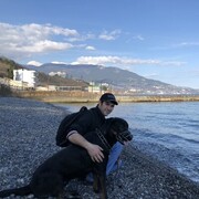 ���������� ����, ���� ������� �����, 31 ���, ������������ ��� ������, ����� � ���������, c�������� ���������