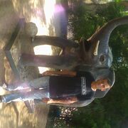 ������ ������� ���