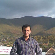 ���������� ����, ���� ������� Roma, 43 ����, ������������ ��� ������, ����� � ���������, c�������� ���������