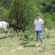  ,   , 35 ,   