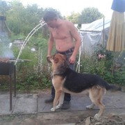  -,   , 51 ,   ,   , c , 