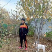 ���������� �����������, ���� ������� ���������, 38 ���, ������������ ��� ������, ����� � ���������, c�������� ���������