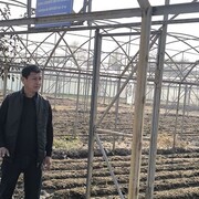  ,   Sherbek, 39 ,   ,   