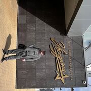 ���������� �����������, ���� ������� �������, 54 ����, ������������ ��� ������, ����� � ���������