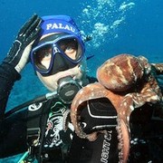 ���������� ������, ���� ������� ������, 53 ����, ������������ ��� ����� � ���������, c�������� ���������