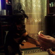 ���������� ����������, ���� ������� ������, 45 ���, ������������ ��� ������, ����� � ���������, c�������� ���������