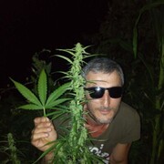  ,   Genka, 42 ,   ,   