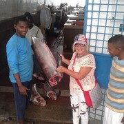 ���������� �����, ���� ������� ������, 65 ���, ������������ ��� ������, ����� � ���������