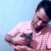 ���������� ������, ���� ������� ����, 41 ���, ������������ ��� ������, ����� � ���������, c�������� ���������