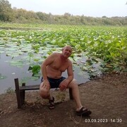 ���������� ���������, ���� ������� �������, 46 ���, ������������ ��� ������, ����� � ���������