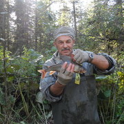 ���������� ���������, ���� ������� ��������, 67 ���, ������������ ��� ������