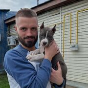 ���������� ������, ���� ������� �����, 38 ���, ������������ ��� ������, ����� � ���������, c�������� ���������, ���������