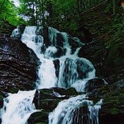  ,   , 38 ,   ,   , c , 