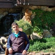  ,   , 44 ,   ,   