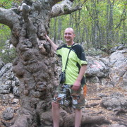 ���������� ��������, ���� ������� ����, 43 ����, ������������ ��� ����� � ���������, c�������� ���������