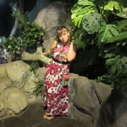 ���������� ������������, ���� ������� ���, 24 ����, ������������ ��� ������, ����� � ���������