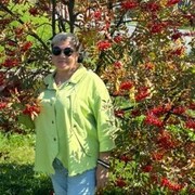 ,   , 47 ,   c 