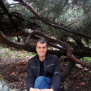 ���������� �����������, ���� ������� ����, 48 ���, ������������ ��� ������, ����� � ���������, c�������� ���������