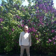 ���������� ����, ���� ������� ��������, 50 ���, ������������ ��� ������, ����� � ���������, c�������� ���������