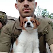  ,   , 27 ,   c 