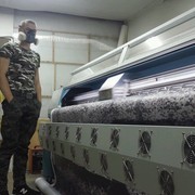  --,   HORT, 31 ,   ,   , c 