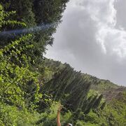  ,   , 51 ,   ,   