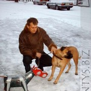  ,  andrej, 58